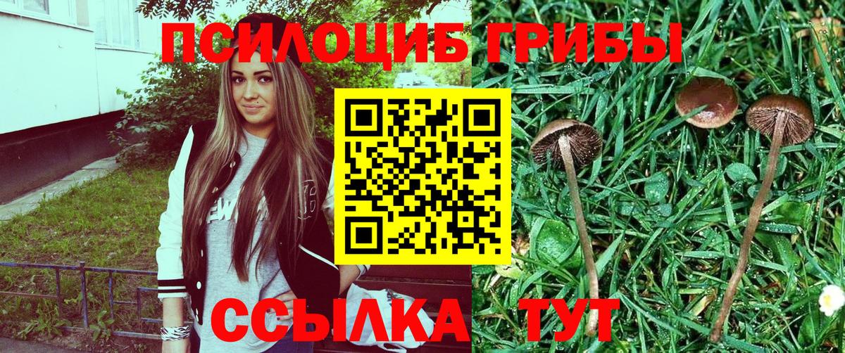Нижнекамск  Галлюциногенные грибы Magic Shrooms  Галлюциногенные грибы мухоморы  Вход с VPN 